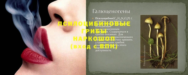 твердый Дмитриев