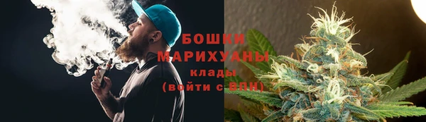 стафф Дмитровск
