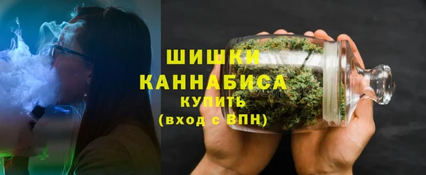 твердый Дмитриев
