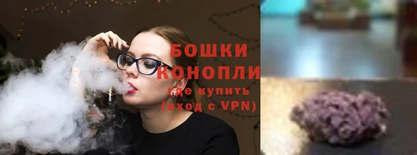 твердый Дмитриев