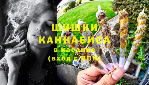 твердый Дмитриев