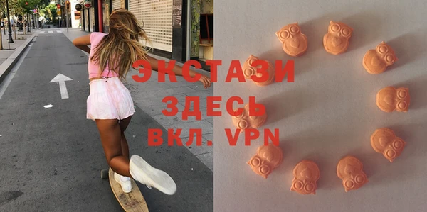 твердый Дмитриев