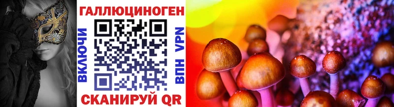 Купить закладки  Ирбит  Галлюциногенные грибы мицелий 